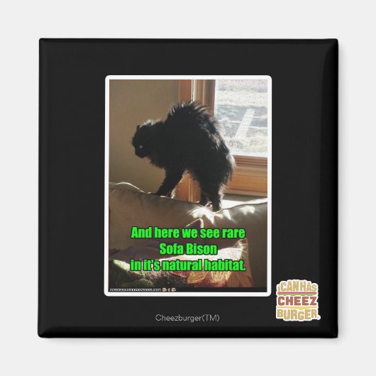 Aimant Sofa Bison (Devant)