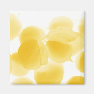Aimant sogno di limone