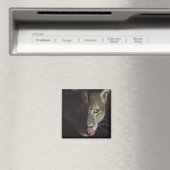 Aimant Soirée Cougar (In Situ (Lave-vaisselle))