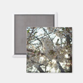 Aimant Soirée Fleurs de cerisiers II Printemps coucher de (Recto/Verso)