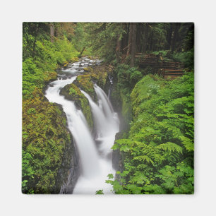 Aimant Sol Duc Falls dans le Parc national Olympique en