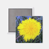 Aimant solaire au sol (Recto/Verso)