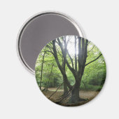 Aimant solaire en bois (Recto/Verso)