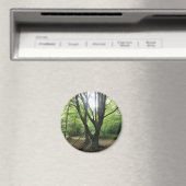 Aimant solaire en bois (In Situ (Lave-vaisselle))