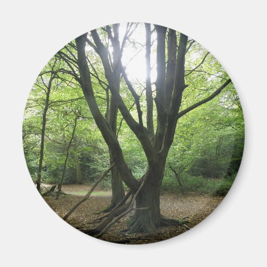 Aimant solaire en bois (Devant)