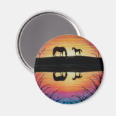 Aimant solaire pour le maïs et le poulain (Recto/Verso)