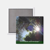 Aimant Soleil (Recto/Verso)