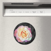 Aimant Soleil (In Situ (Lave-vaisselle))