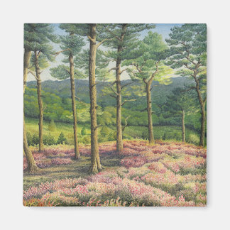 Aimant Soleil du soir, Pins de Surrey Hills à Pastel