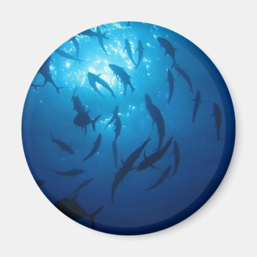Aimant Soleil et fond sous la mer (Devant)