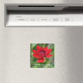 Aimant Solitaire Rouge Dahlia Fleur Wisley Motivation (In Situ (Lave-vaisselle))