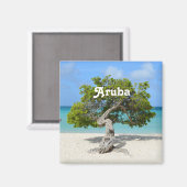 Aimant Solo Divi Divi Tree à Aruba (Recto/Verso)
