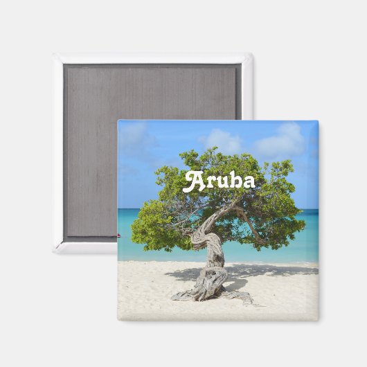 Aimant Solo Divi Divi Tree à Aruba (Recto/Verso)