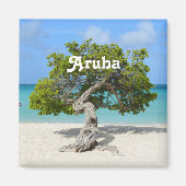Aimant Solo Divi Divi Tree à Aruba (Devant)