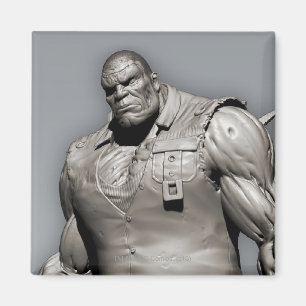 Aimant Solomon Grundy Alternate