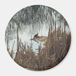 Aimant Solstice d'hiver