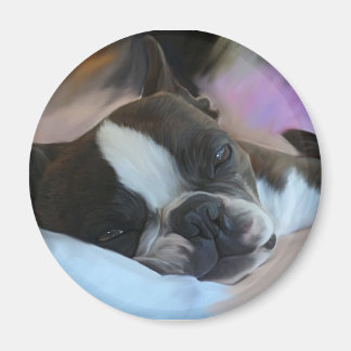 Aimant Sommeil