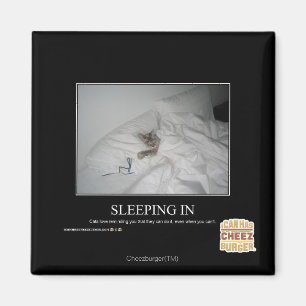 Aimant Sommeil dedans