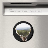 Aimant Son domaine (In Situ (Lave-vaisselle))