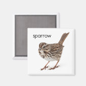 Aimant Song Sparrow (Recto/Verso)