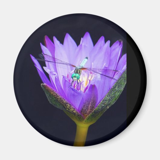 Aimant Sonia WIld (Devant)