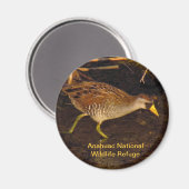 Aimant Sora (Recto/Verso)