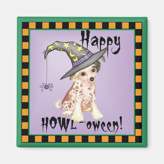 Aimant Sorcière à cris chinois (Devant)