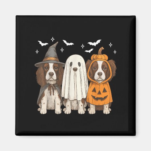 Aimant Sorcière Anglais Springer espagnol Halloween Sprin (Devant)