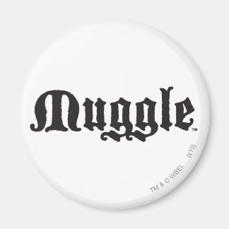 Aimant Sortilège Harry Potter | Moldu