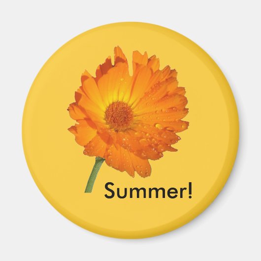 Aimant - Souci sur tige (Devant)