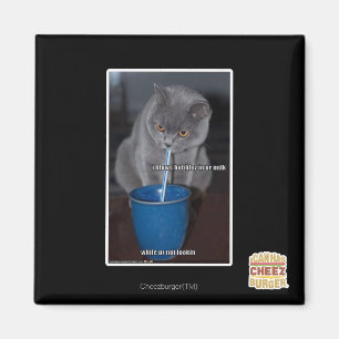 Aimant Souffle des bulles dans notre lait