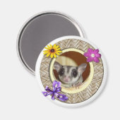 Aimant Sougar Glider (Recto/Verso)