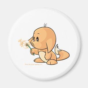 Aimant Souhait de Kacheek orange