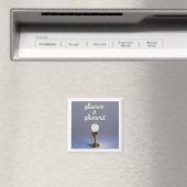 Aimant Source et Sommet Saint Sacrement (In Situ (Lave-vaisselle))