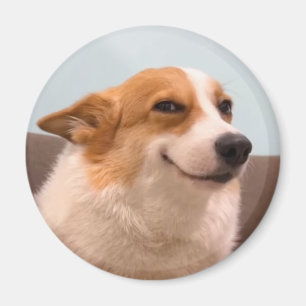 Aimant souriant Corgi mème