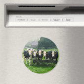 Aimant Souriez s'il vous plaît ! Vaches mignonnes (In Situ (Lave-vaisselle))