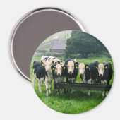 Aimant Souriez s'il vous plaît ! Vaches mignonnes (Recto/Verso)