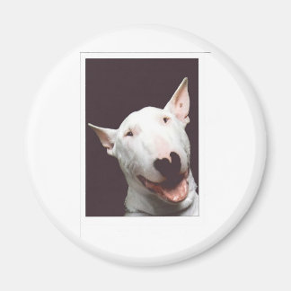 Aimant sourire brutal