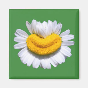 Aimant Sourire de Camomille Radieux et Heureux