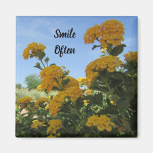 Aimant Sourire Souvent Vivid Fleur Jaune Photo Jardin Fle