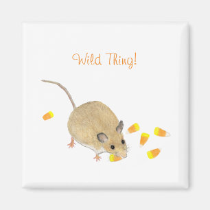Aimant Souris