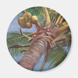 Aimant Sous l'arbre de noix de coco