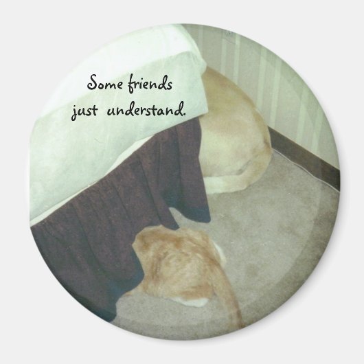 Aimant Sous le lit (Devant)