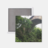 Aimant sous le pont (Recto/Verso)