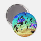 Aimant sous-marin (Recto/Verso)