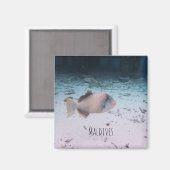 Aimant Souvenir de poisson corail sous-marin des Maldives (Recto/Verso)