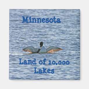 Aimant Souvenir du Minnesota