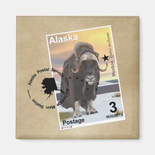 Aimant Souvenir du timbre de Muskox