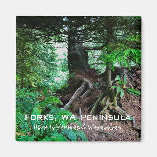Aimant souvenir : Fourches, péninsule de l'WA