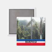 Aimant Souvenir Pittoresque de Bornéo Rainforest Jungle (Recto/Verso)